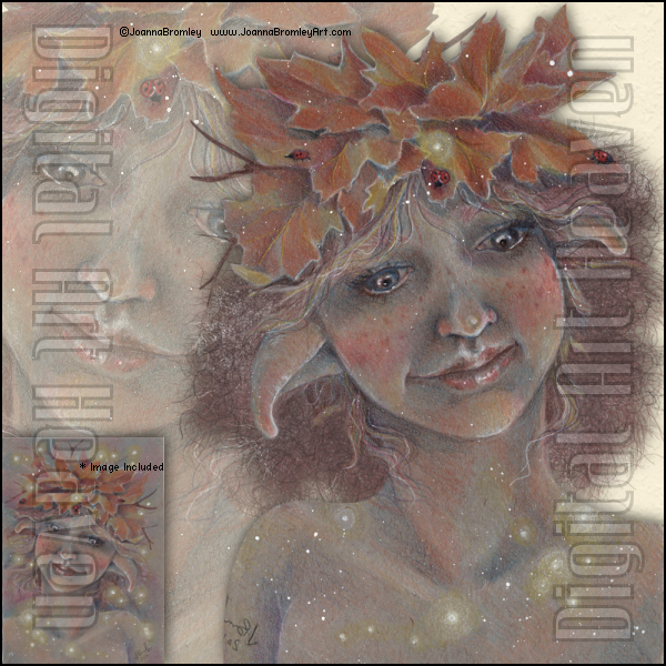 Joanna Bromley-Autumn Maple Lights II